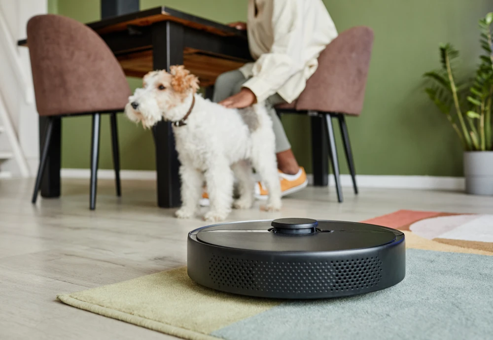 what is the best robotic vacuum cleaner